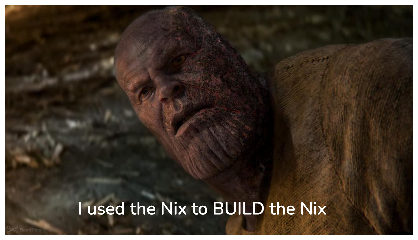 ../../_images/used-the-nix-to-build-the-nix.png